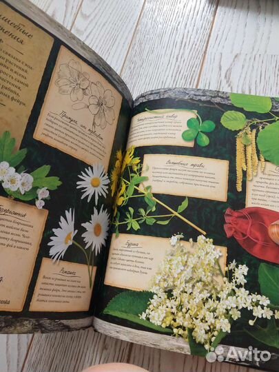 Книга Волшебная страна про фей