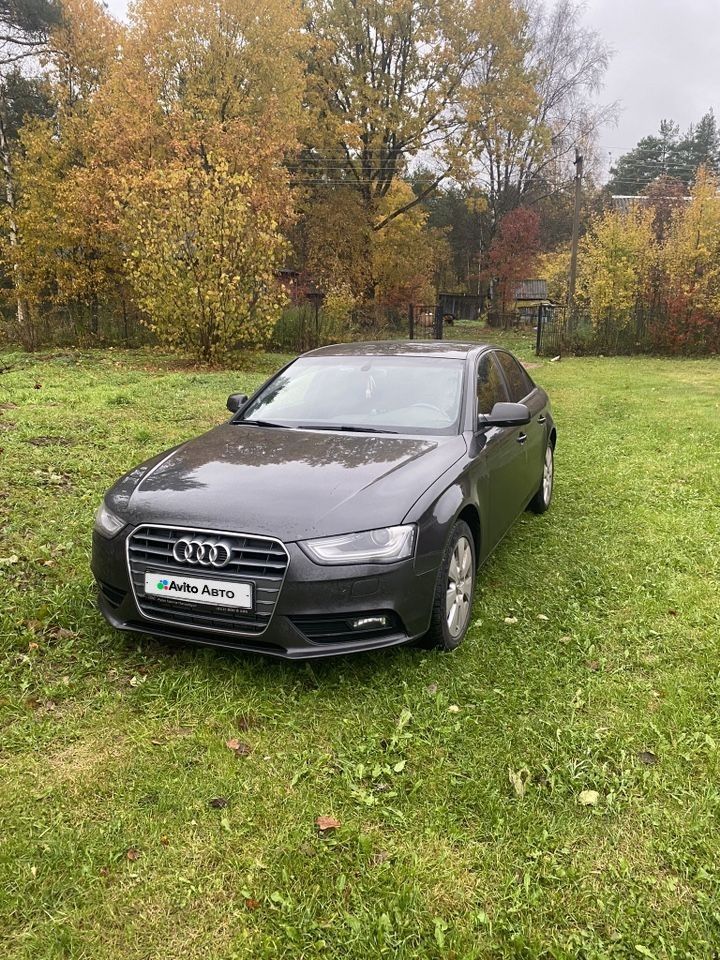 Audi A4: фото владельца