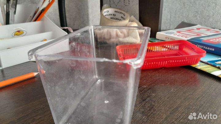 Террариум для рептилий