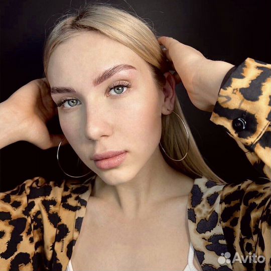 Бровист Чита