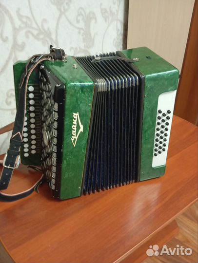 Гармонь чайка