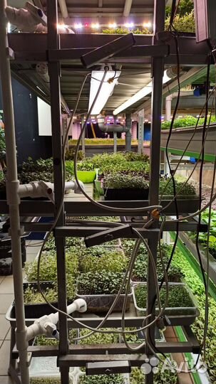 Оборудование для ситиферм