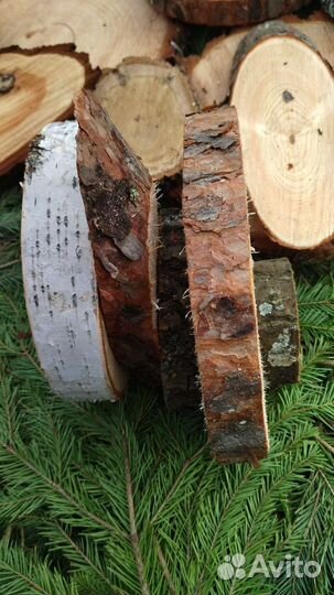 Спилы дерева