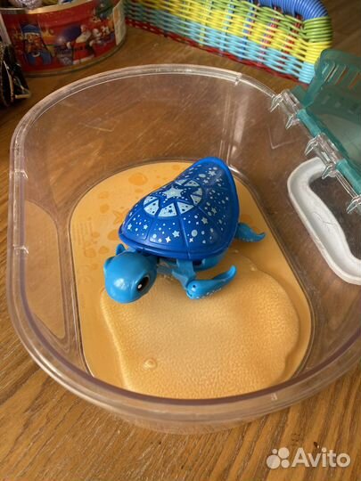 Игрушечная черепаха