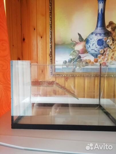 Аквариум