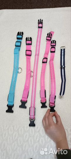 Ошейник для собак светящиеся