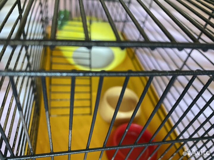 Клетка для грызунов