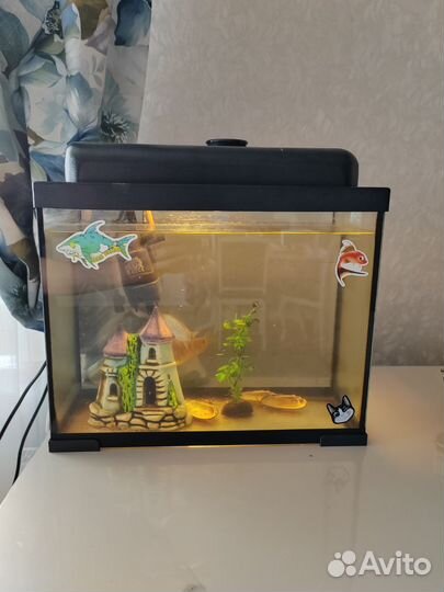 Аквариум на 20 л