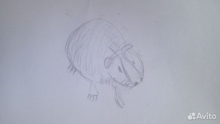 Детские рисунки