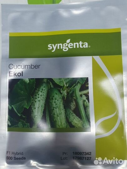 Семена огурец Эколь 500с Сингента