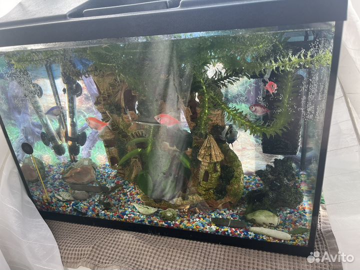 Аквариум