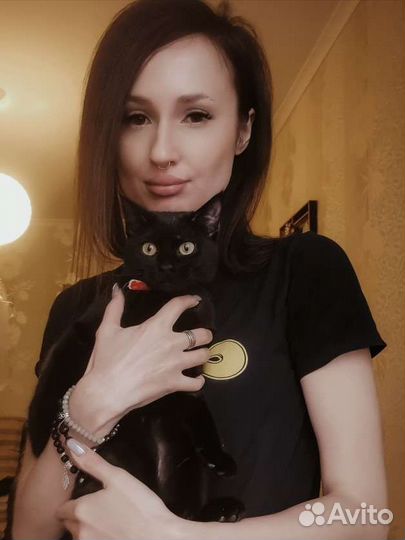 Домашняя передержка собак