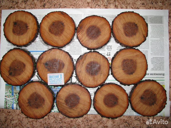 Спилы (Срезы) дерева для декора (торцевые)
