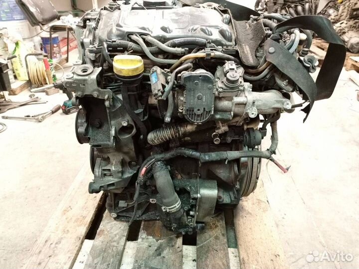 Двигатель M9R700 Renault Megane 2