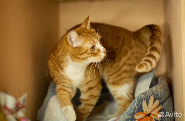 Кто у нас Солнышко