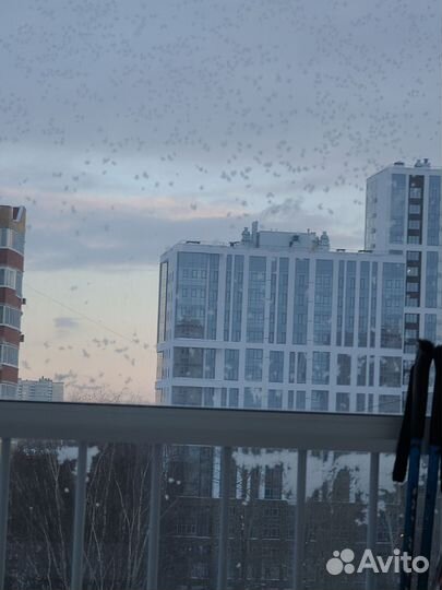 Вещи пакетом