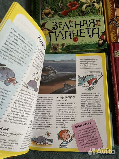 Книги детские энциклопедии