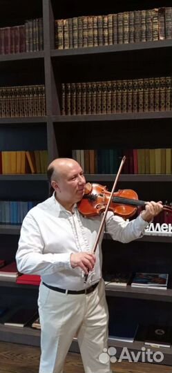 Скрипка. Скрипач на вашем празднике