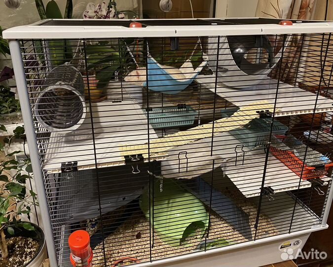 Клетка Ferplast Furat и другие аксессуары