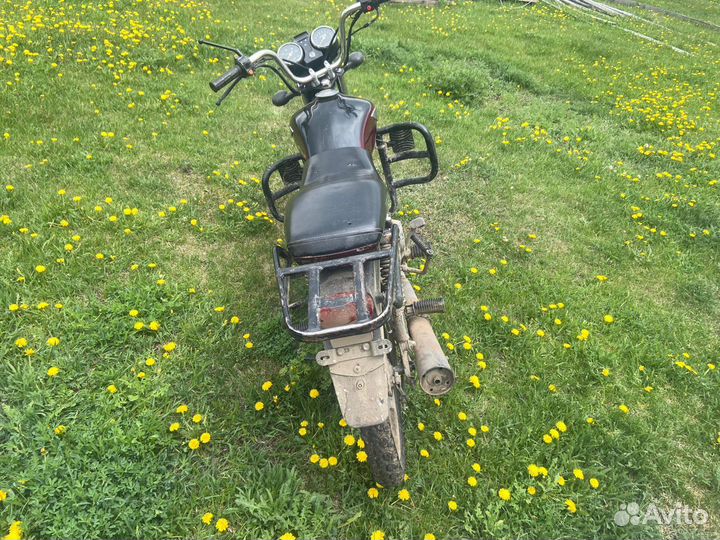 Рейсер альфа