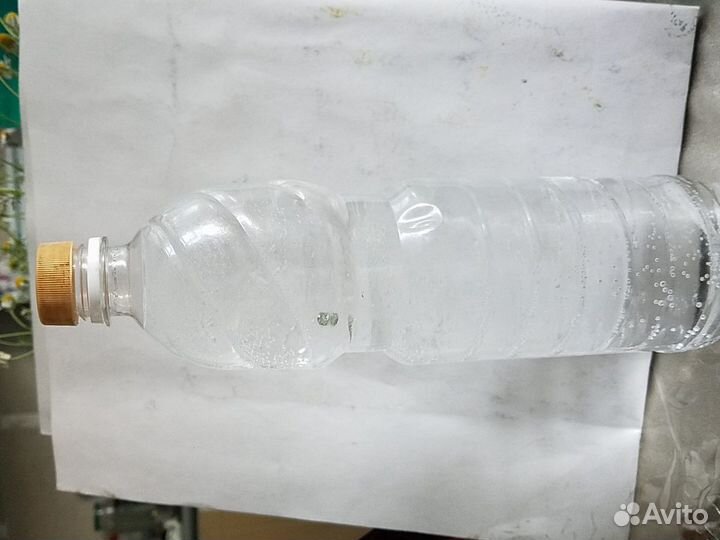 Живой корм инфузория