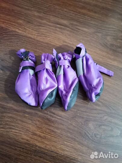 Обувь для средних собак