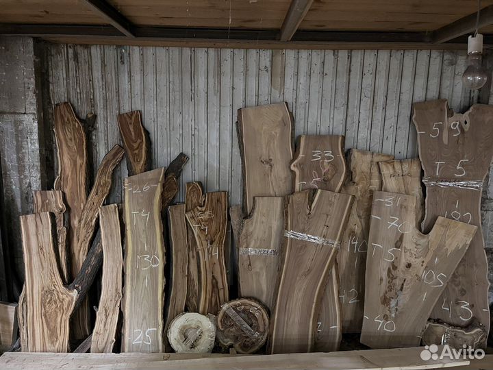 Слебы спилы срезы