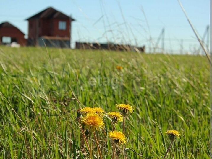 Участок 10 сот. (ИЖС)