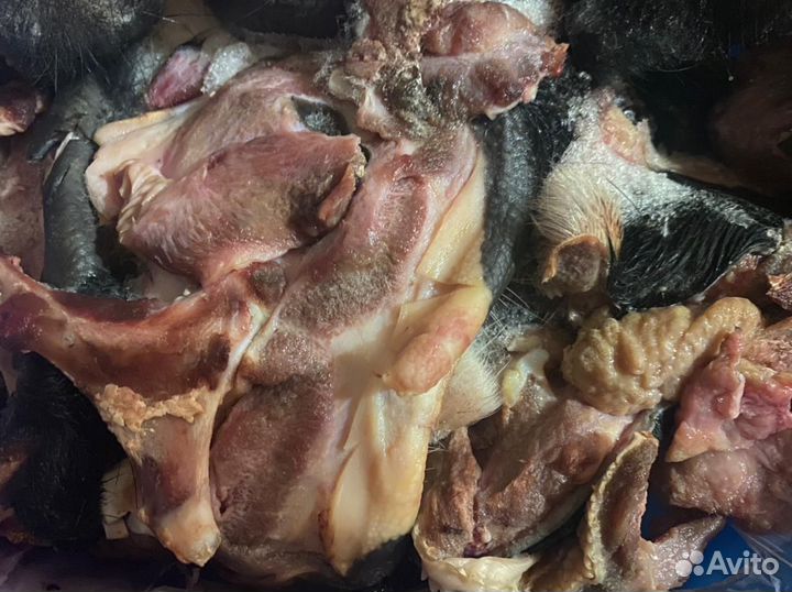 Корм для собак говяжий, губы, носы, шипы