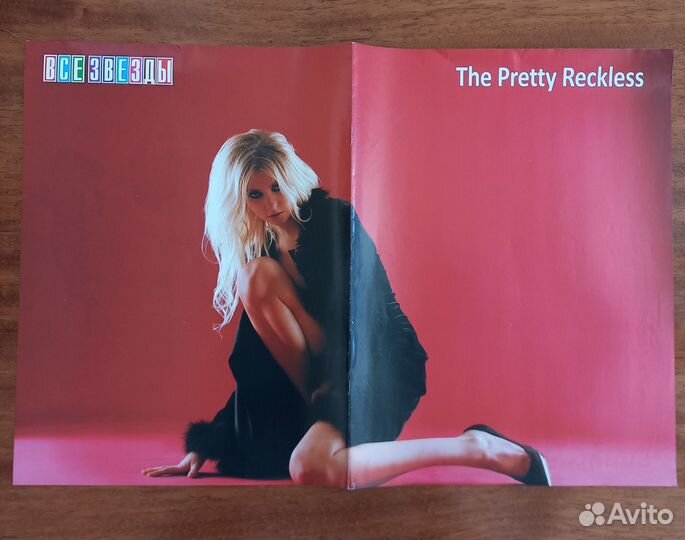 Плакаты Все звезды Rammstein Тейлор Момсен 1D