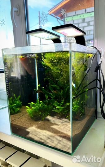 Аквариум Aquael куб 30л