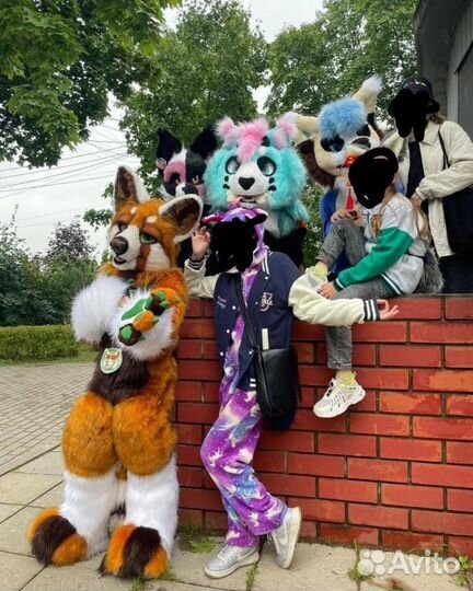 Фуллсьют красной панды /фурри