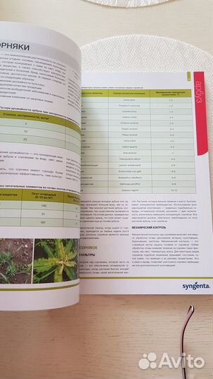 Книга о выращивании овощей