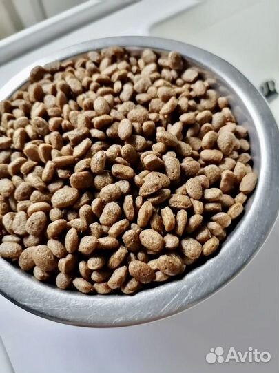 Корм для щенков “Hard Tiger“ Юниор/Холистик