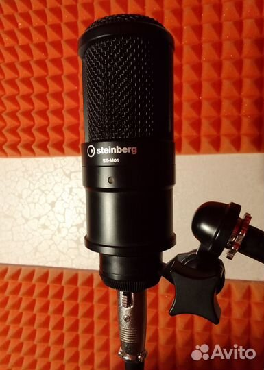 Микрофон Steinberg st-m01