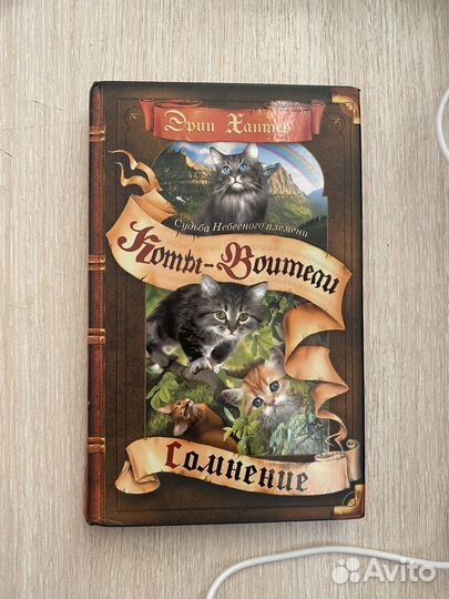 Коты воители сомнение