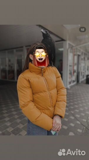 Куртка демисезонная