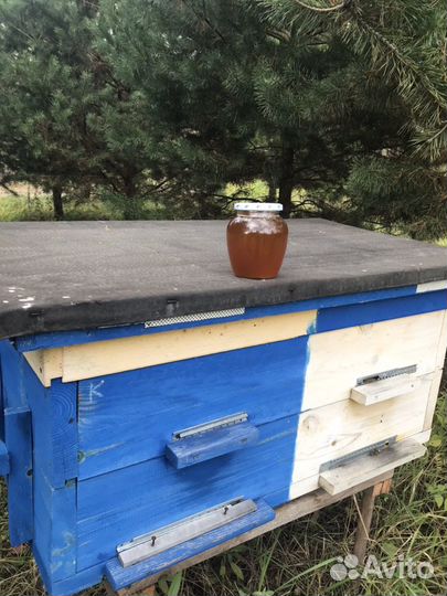 Мёд прямо с собственной пасеки