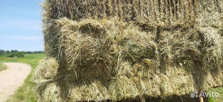 Сено,люцерна солома. в тюках