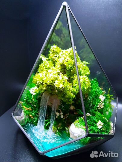 Моссариум Декор Подарки Мох