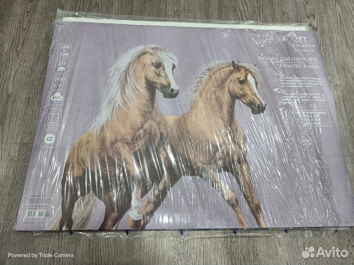 Бумага для пастели В2 (500*650 мм), 10 листов