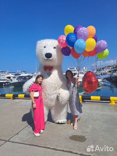 Белый мишка/большой белый мишка