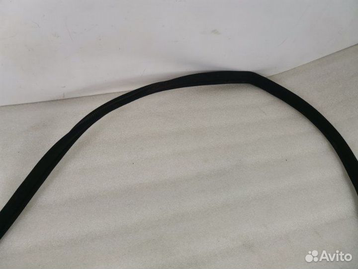 Уплотнитель проема двери задний левый