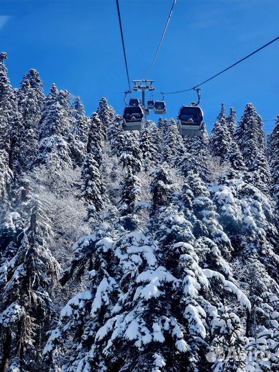 Горнолыжные туры