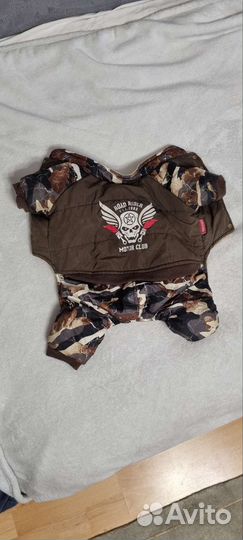 Одежда для собак