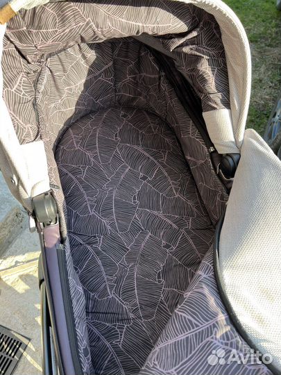 Коляска anex sport 2 в 1