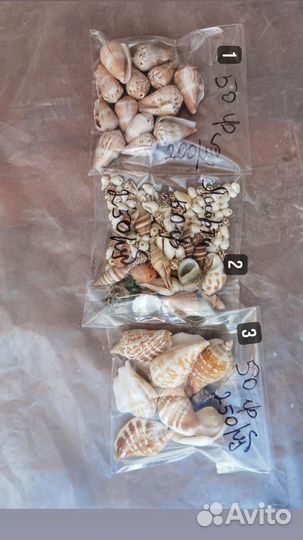 Морские ракушки для resin art