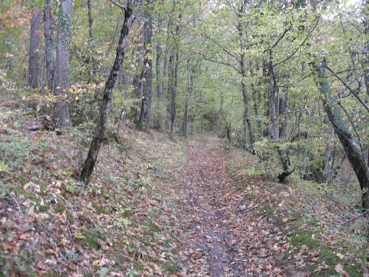 Участок 45 сот. (ИЖС)