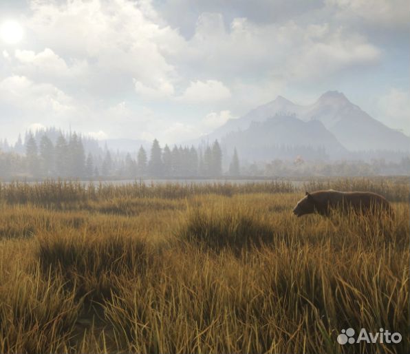 TheHunter: Call of the Wild для Xbox One, S, X ключ