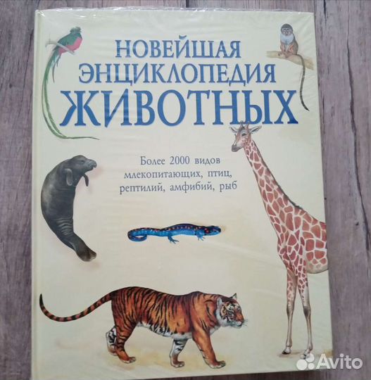 Книга новая